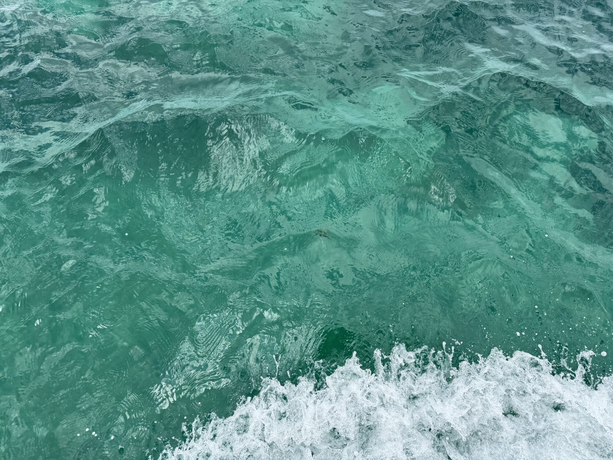 Churning teal water in the ship's wake