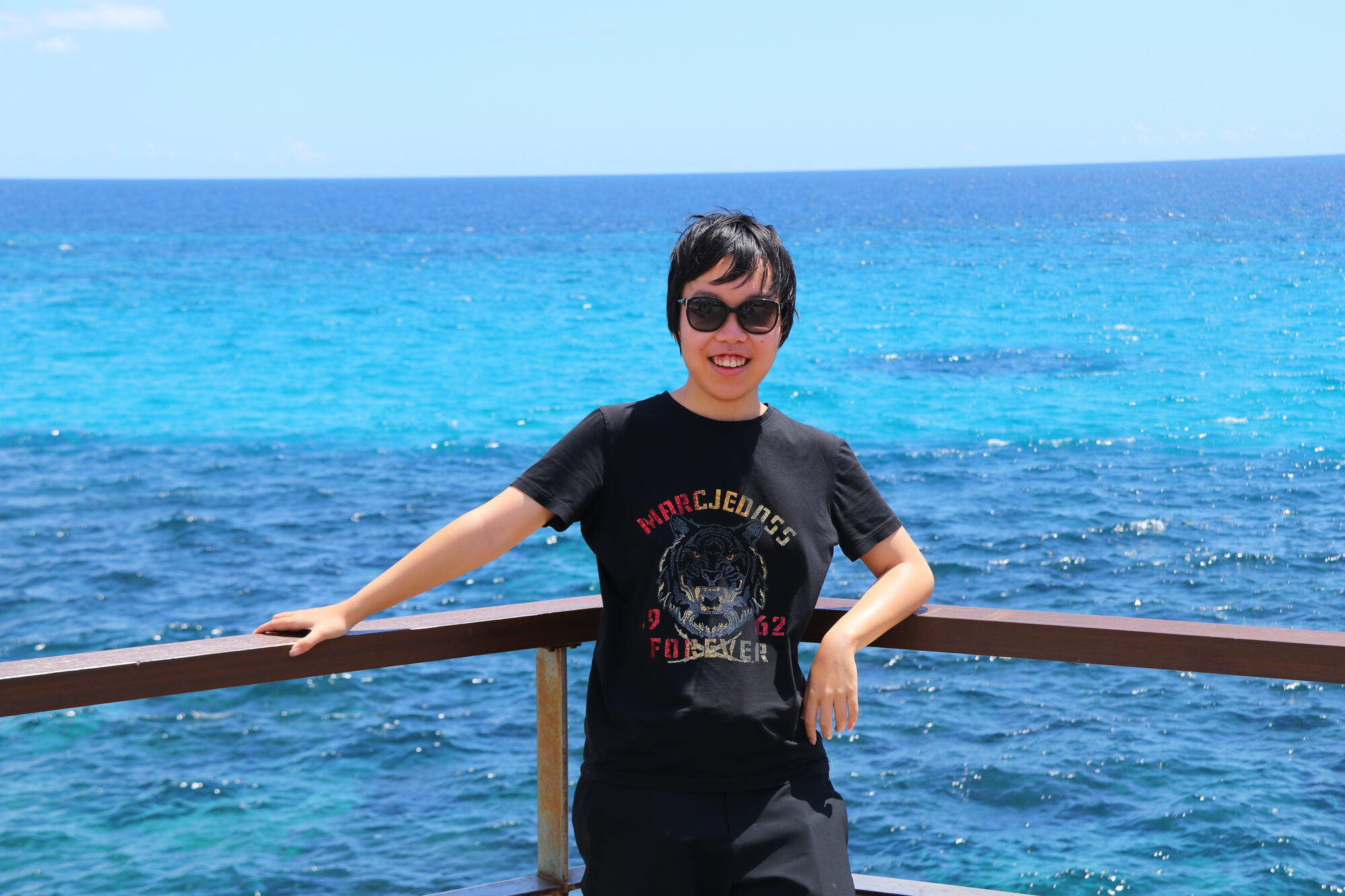 At a railing above bright turquoise sea