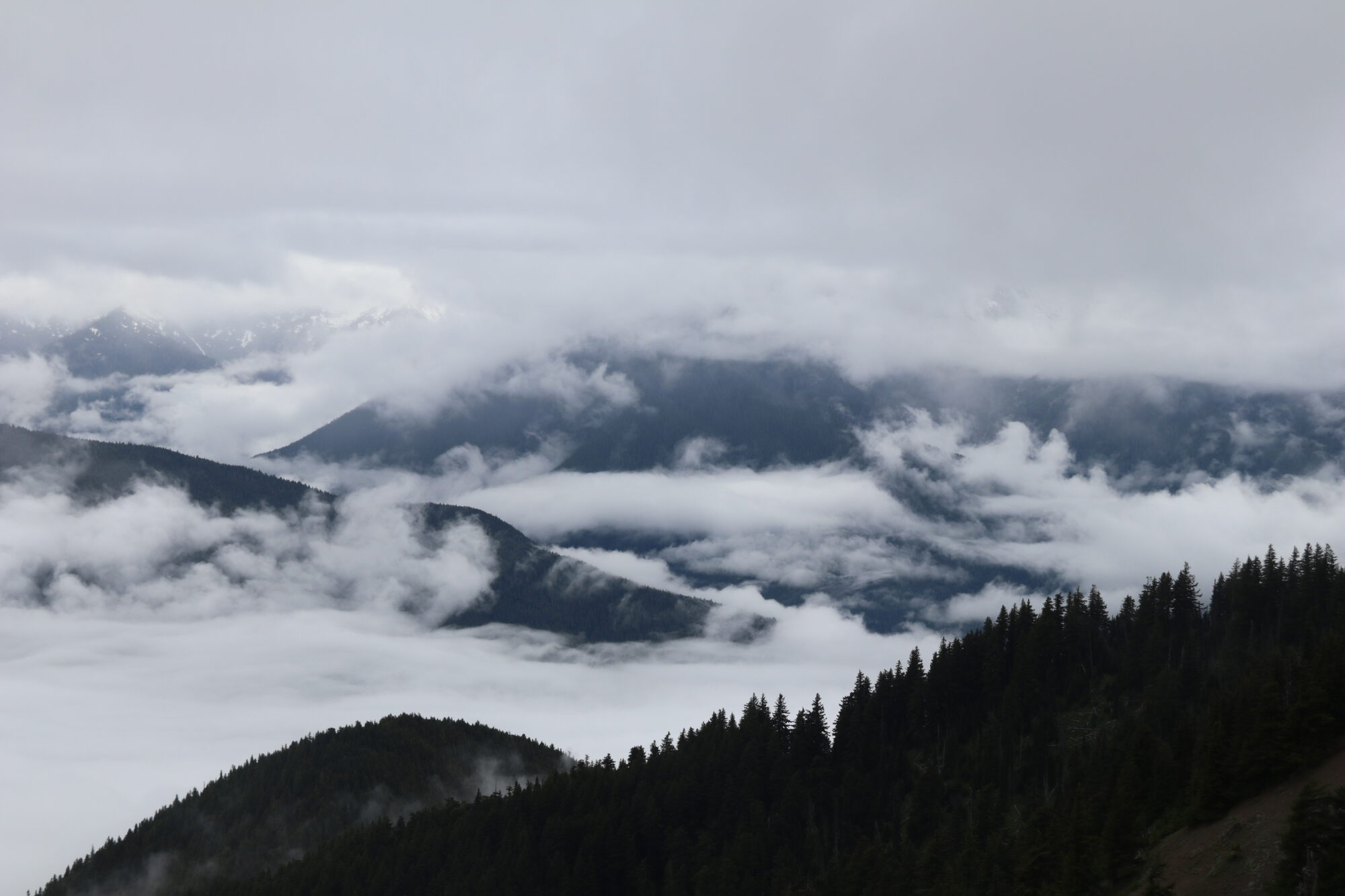 Sea of clouds filling forested mountain valleys
