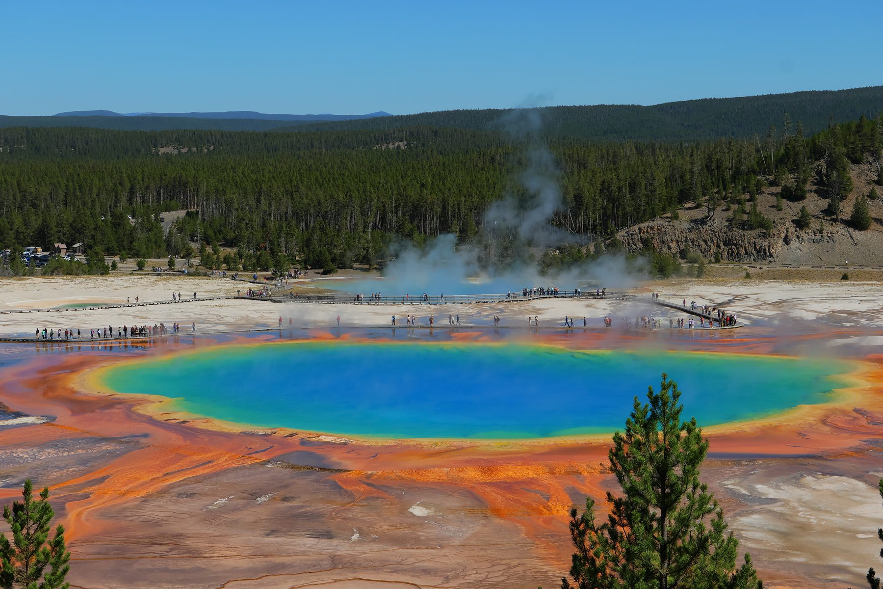Room VII — Yellowstone