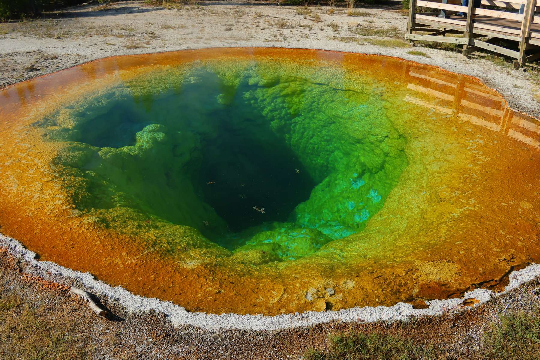 A round hot spring of green and gold