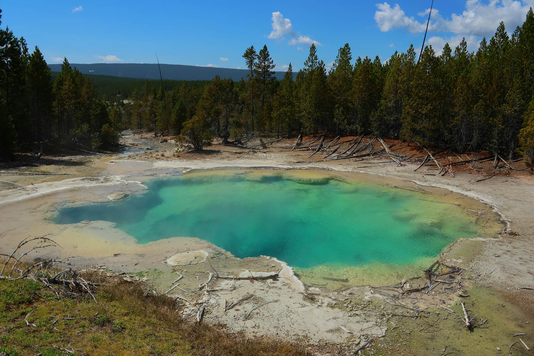 A turquoise hot spring ringed by pines